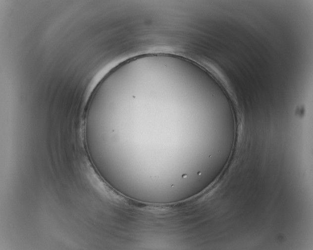 X0000113081340200909110955