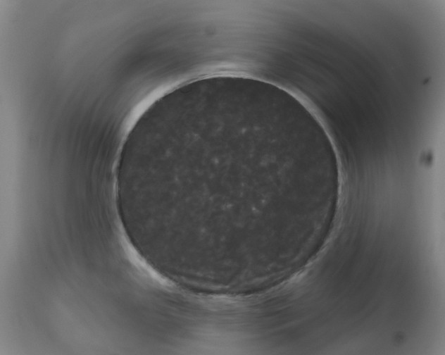 X0000113081341200909110955