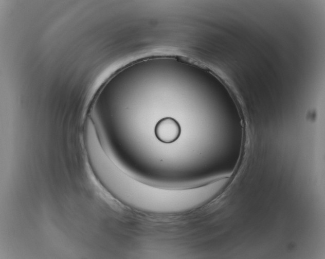 X0000113081342200909110955