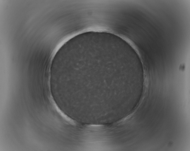 X0000113081343200909110955