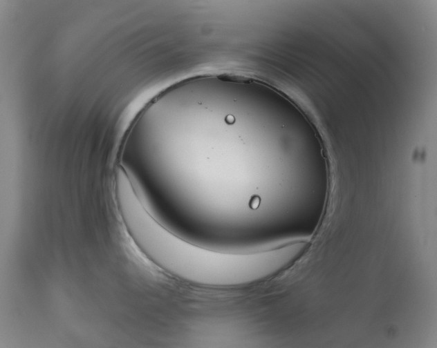 X0000113081344200909110955