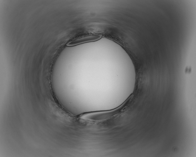 X0000113081345200909110954