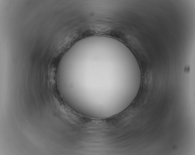 X0000113081346200909110954