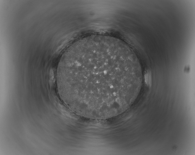 X0000113081347200909110954