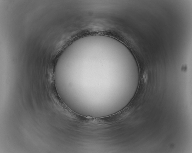 X0000113081348200909110954