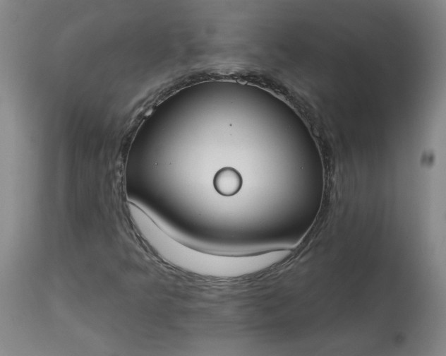 X0000113081349200909110954