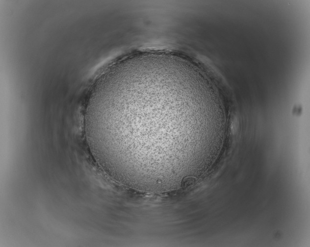 X0000113081350200909110954