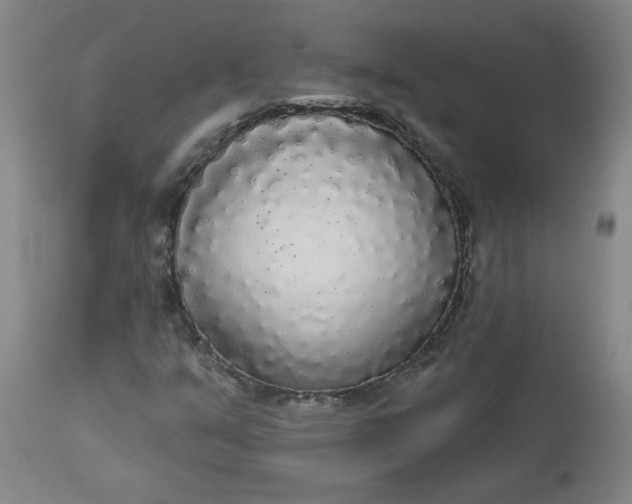 X0000113081351200909110954