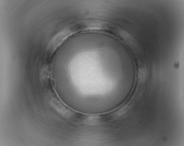 X0000113081353200909110954