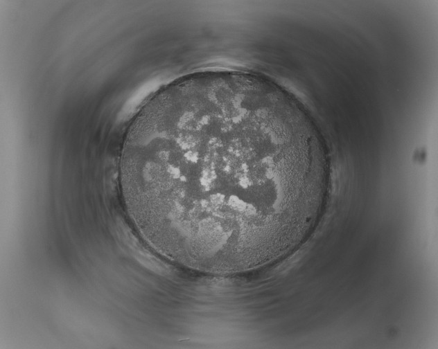 X0000113081355200909110954