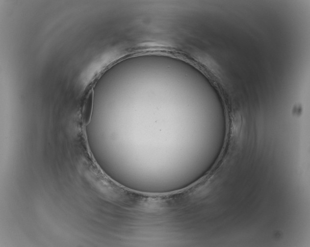 X0000113081357200909110954