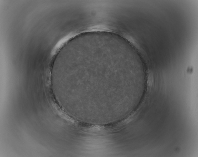 X0000113081358200909110954