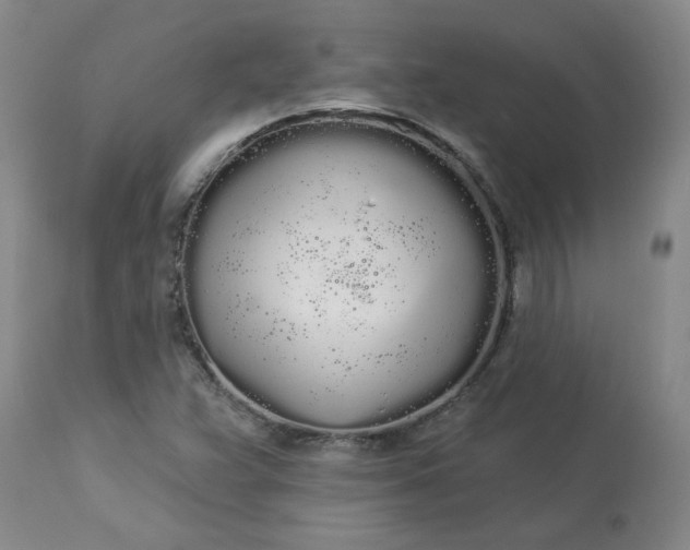 X0000113081359200909110954