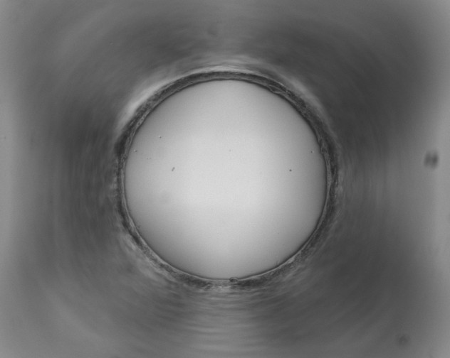 X0000113081360200909110954