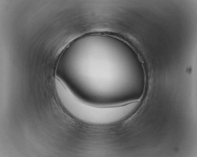 X0000113081361200909110954