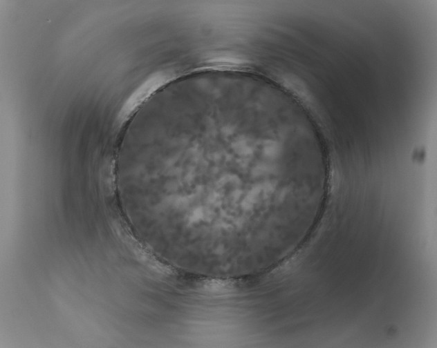 X0000113081362200909110954