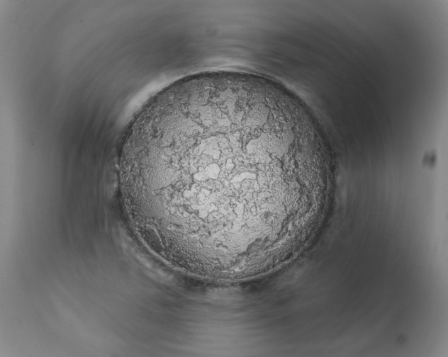 X0000113081363200909110954