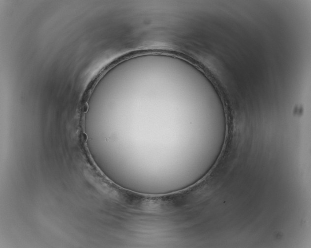 X0000113081364200909110954