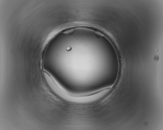 X0000113081365200909110954