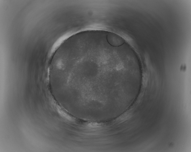 X0000113081366200909110954