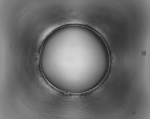 X0000113081367200909110954