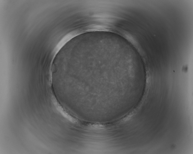 X0000113081370200909110954