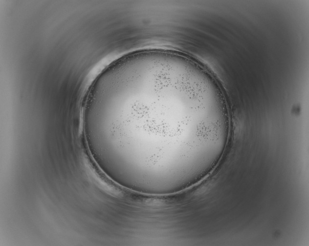 X0000113081371200909110954