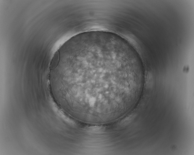 X0000113081373200909110954