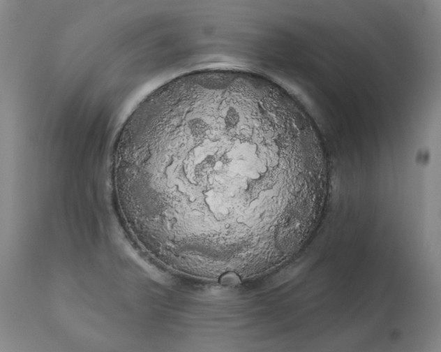 X0000113081375200909110954