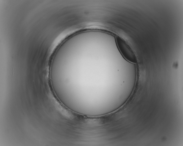 X0000113081376200909110954