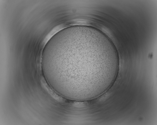 X0000113081378200909110954