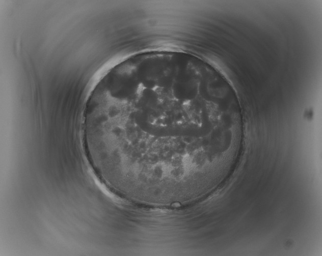 X0000113081379200909110954