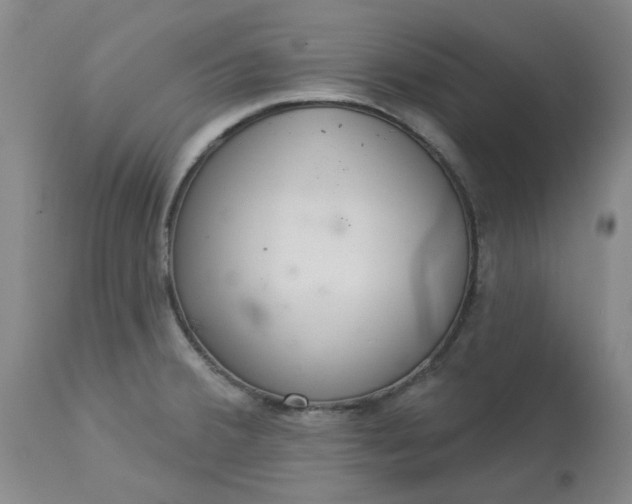 X0000113081380200909110953