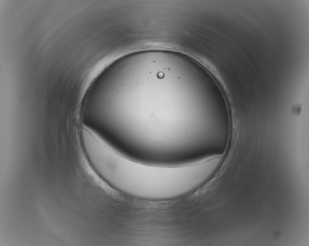 X0000113081381200909110953