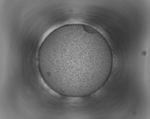 X0000113081382200909110953