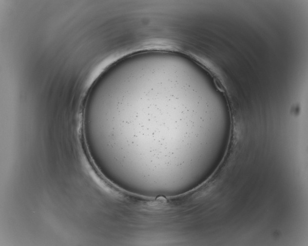 X0000113081383200909110953