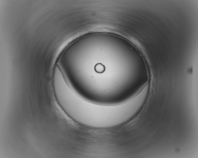 X0000113081384200909110953