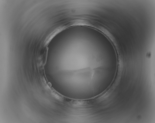 X0000113081385200909110953