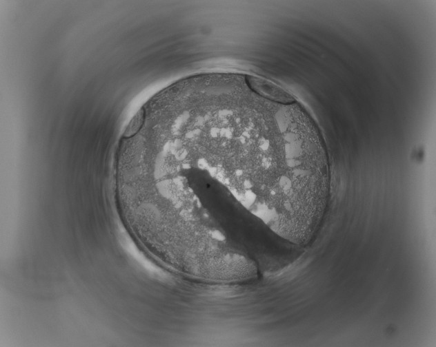 X0000113081387200909110953