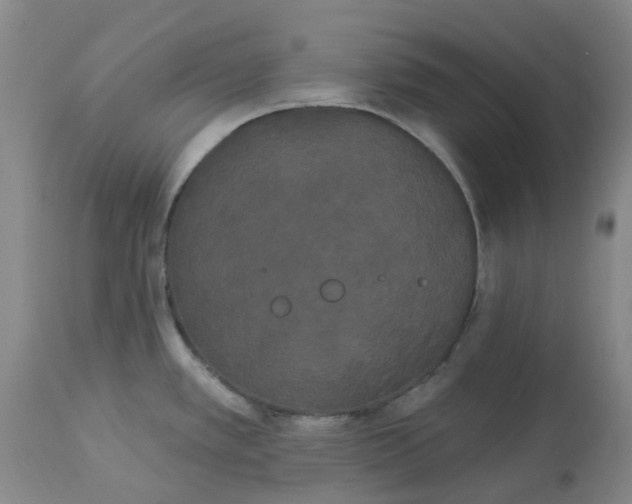 X0000113081389200909110953