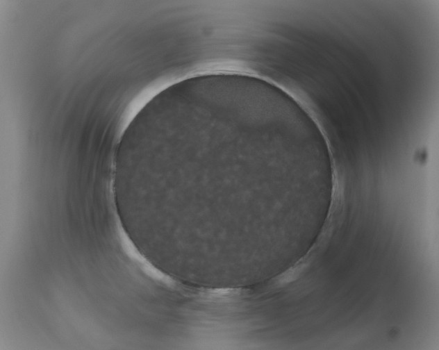 X0000113081390200909110953