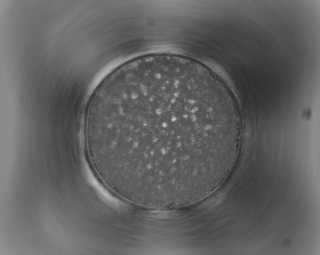 X0000113081391200909110953