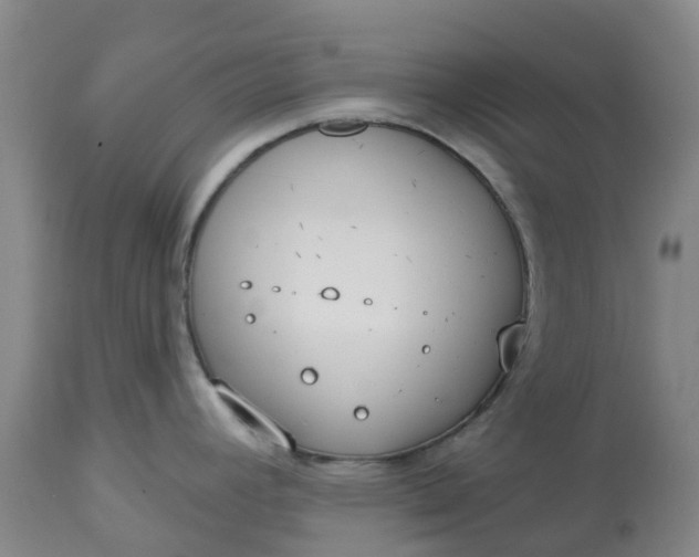 X0000113081392200909110953