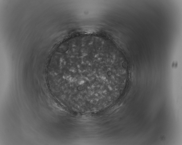 X0000113081393200909110953