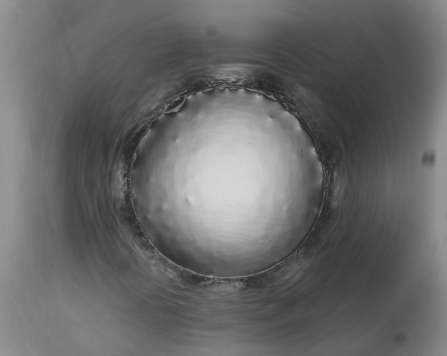 X0000113081394200909110953