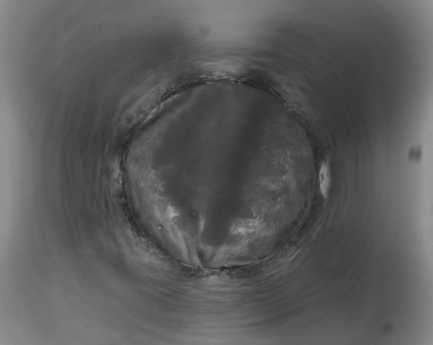 X0000113081395200909110953