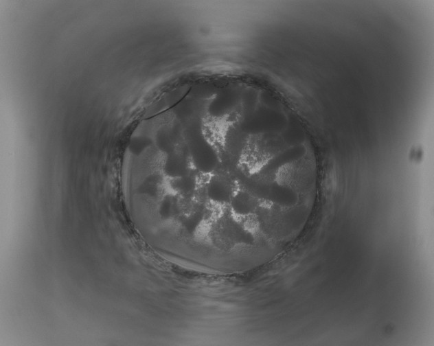 X0000113081397200909110953