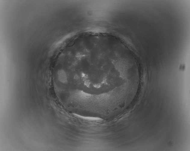 X0000113081398200909110953