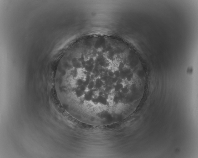 X0000113081399200909110953