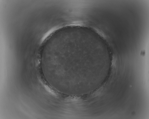 X0000113081400200909110953